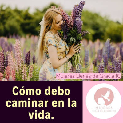 Cómo debo caminar en la Vida.  episode artwork