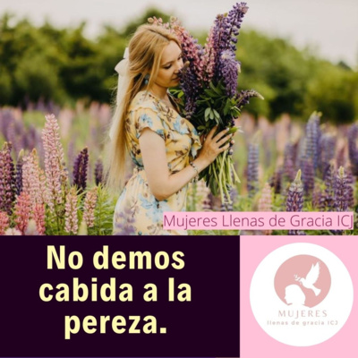No demos cabida a la pereza /Vida Diaria episode artwork
