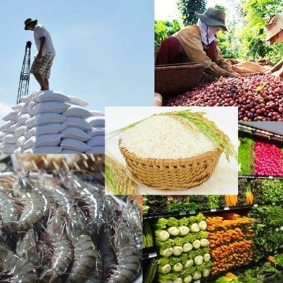 VOV - Thời sự 12h (12/11/2021)