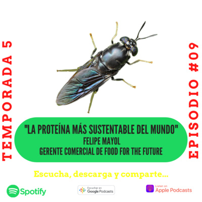 Visión Inteligente de Negocios