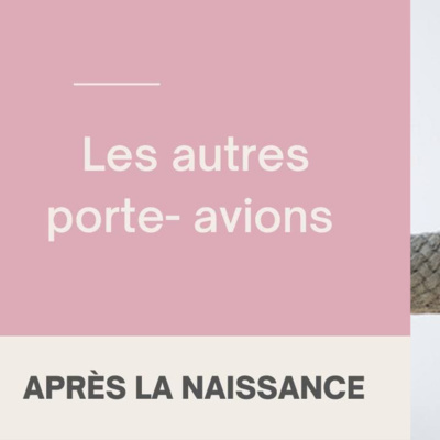 Les autres porte-avions