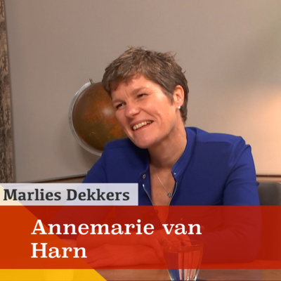 'Contact is het belangrijkste medicijn.' Een gesprek met Annemarie van Harn episode artwork