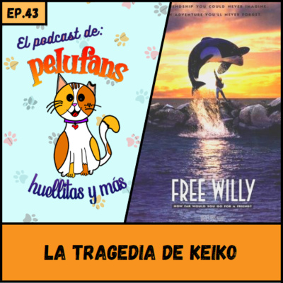 Pelufans, Huellitas Y Más