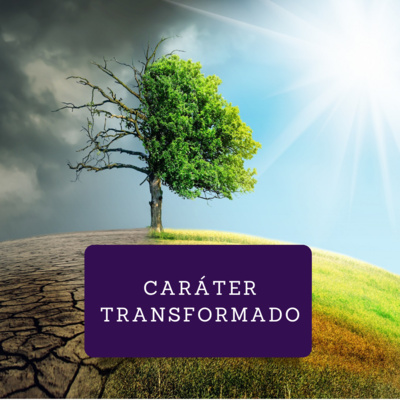 #02. Conhecendo sua verdadeira identidade #02. Conhecendo sua verdadeira identidade