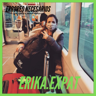 Errores Necesarios