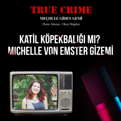 True Crime: Meçhule Giden Gemi