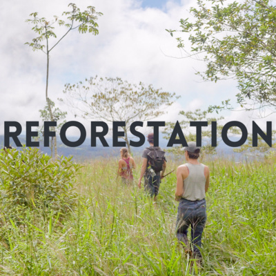 Reforestation: Relationships of Care - with Megan Brown and Deb Hamilton Reforestation: Relationships of Care - with Megan Brown and Deb Hamilton
