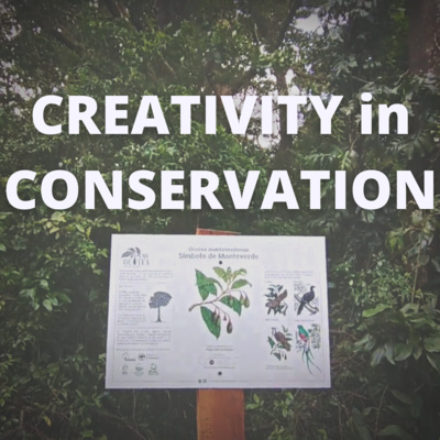Creativity in Conservation - with Marco Molina Creativity in Conservation - with Marco Molina