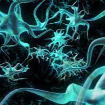 Espinas Dendríticas