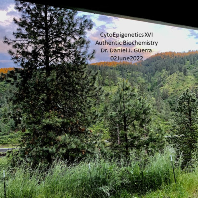 CytoEpigenetics XVI. The Mt DNA replicase and helicase enzymes are epigenetically nuclear encoded and localize to the mitochondrial membrane into lipid rafts containing cholesterol. DJGPhD. 2June2022
