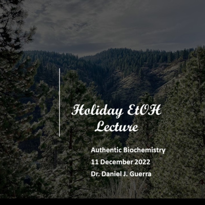 Holiday Ethanol Abuse Lecture I. EtoH ingestion, while intoxicating redox metabolism is also a membrane lipid -protein interacting agent that corrupts inwardly rectifying K voltage gated channels.