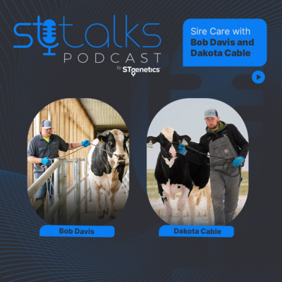 STtalks