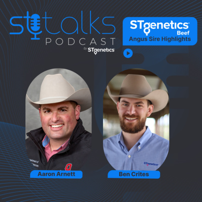 STtalks