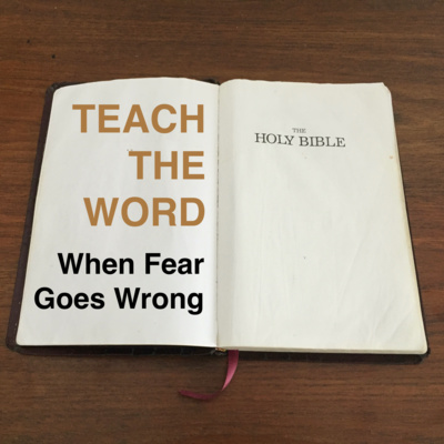 When Fear Goes Wrong episode artwork