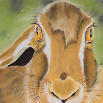 Ancient Hare Wisdom episode artwork
