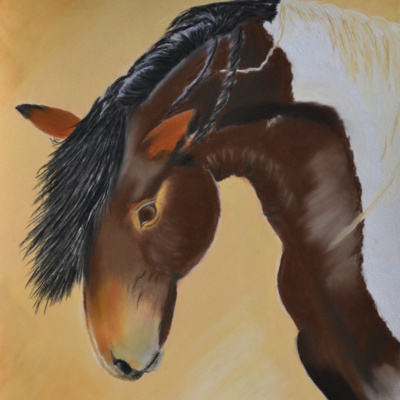 Wild Mustang episode artwork