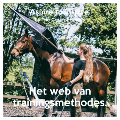 #S1E7 Het web van trainingsmethodes.