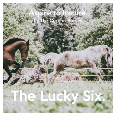 #S1E2 The Lucky Six!