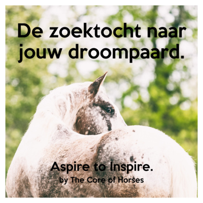 #S1E4 De zoektocht naar jouw droom paard.