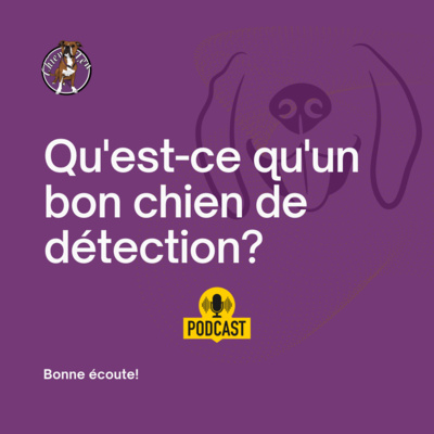 Mon chien a du nez!