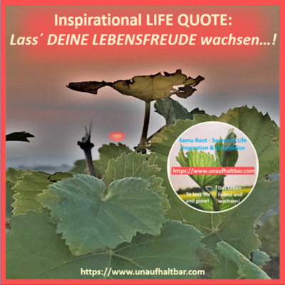 ValueVisions - der einzigartig inspirierende Podcast für Kraft und Motivation im Alltag