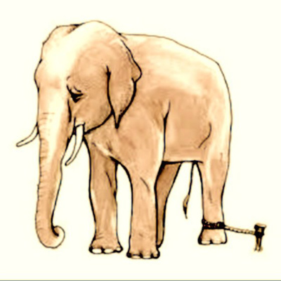 The Rope Tied Around Your Leg