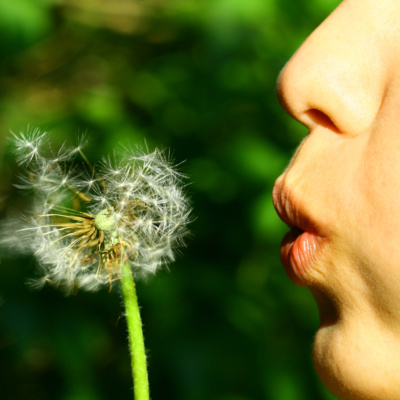 Analyzing Your Wishbone