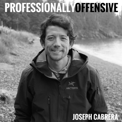 Professionally Offensive