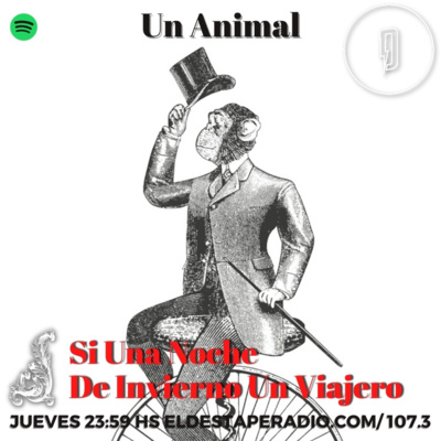 #SiUnaNocheDeInvierno: un animal