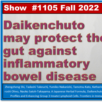 Daikenchuto may protect the gut against inflammatory bowel disease