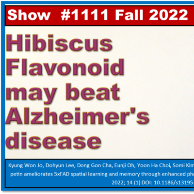 Hibiscus Tea Flavonoid may beat Alzheimer's disease Episode 1111 Fall 2022