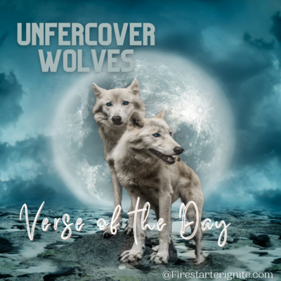 WOLVES UNDERCOVER | Verse of the Day