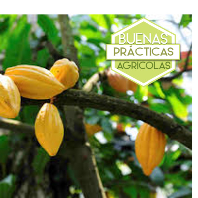 Buenas Prácticas Agrícolas