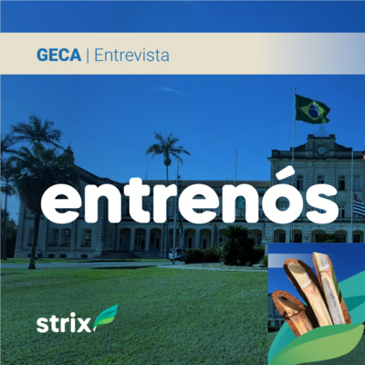 Senta que lá vem Strix
