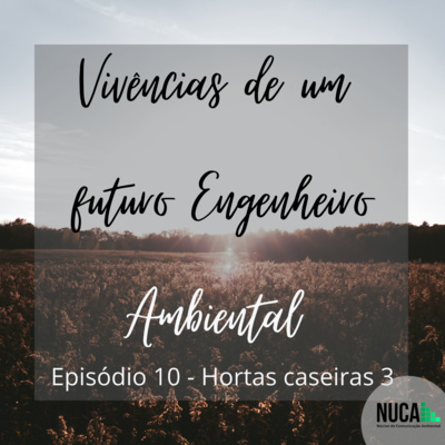 Vivências de um futuro Engenheiro Ambiental
