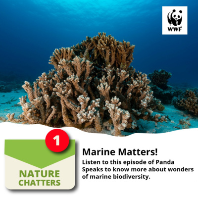 Season 1 | Episode 14 | Marine Matters