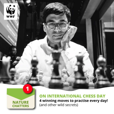 Season 1 | Episode 15 | A Dialogue with the Grandmaster