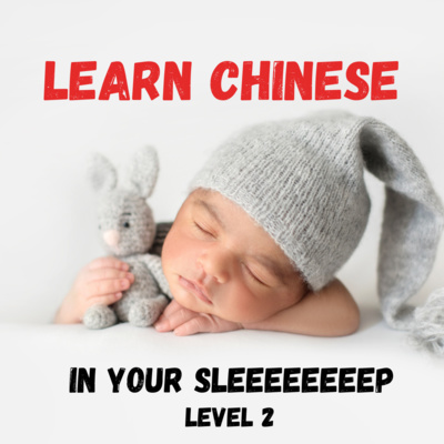 Domino Chinese | Learn Chinese with the Number 1 online learning website