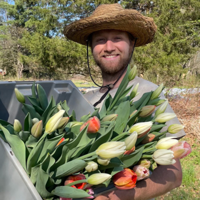 The Bee Side: Regenerative Farming with Thom Pearsall of Everwild Farm