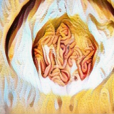 Episode 12: Andrea Gives the Scoop on Maggot Cheese, Strategic Planning, and Dystopian Lit episode artwork