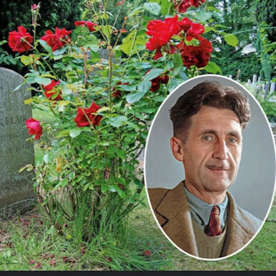 Episode 34: Melissa Dishes on Dinner Parties with Authors, Library Cards, and George Orwell's Garden episode artwork