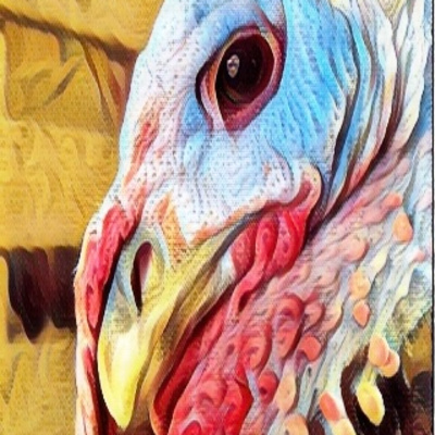 Episode 37: Sarah Dishes Up Pumpkin Pies, October Youth Programming, and Turkey Temprament episode artwork