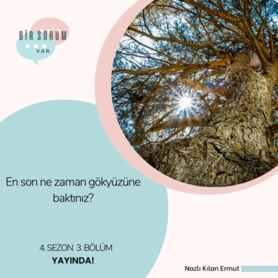 Bir Sorum Var