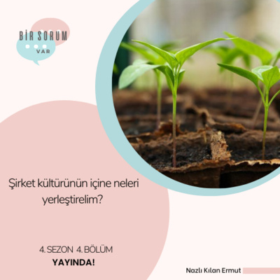 Bir Sorum Var