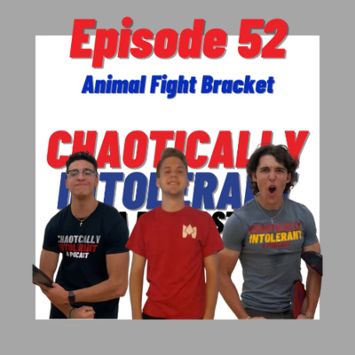 EPISODE 52- ANIMAL FIGHT BRACKET