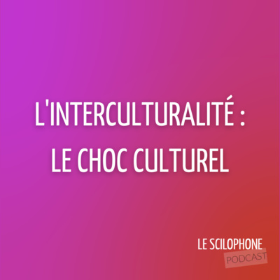 Interculturalité partie 2 : Le choc culturel