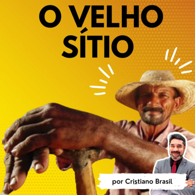 Minutos de Sabedoria