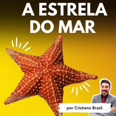 Minutos de Sabedoria
