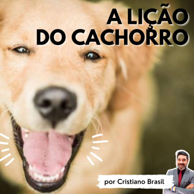 Minutos de Sabedoria
