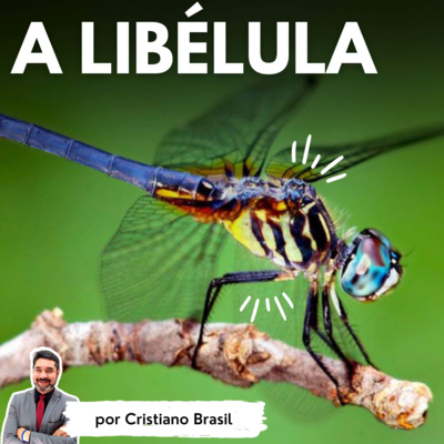 Minutos de Sabedoria
